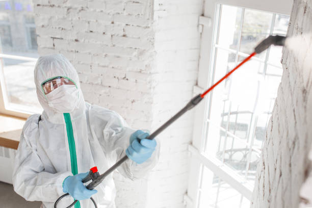 Best Indoor Air Quality Assessment  in Lake Fenton, MI