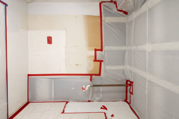 Mold Remediation for Rental Properties in Lake Fenton, MI