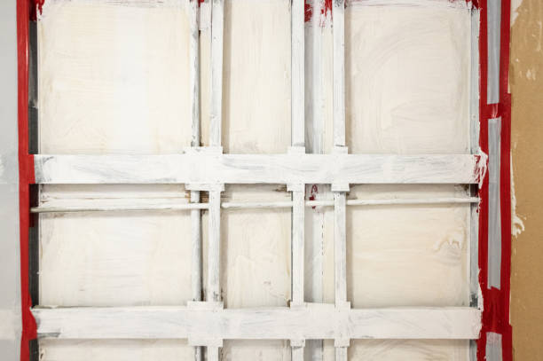 Best Emergency Mold Remediation  in Lake Fenton, MI