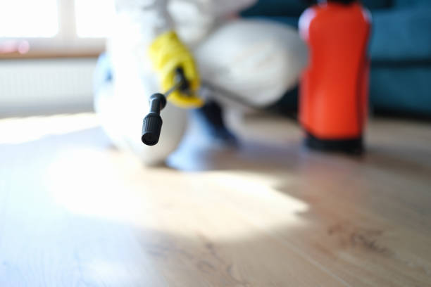 Best Attic Mold Removal  in Lake Fenton, MI