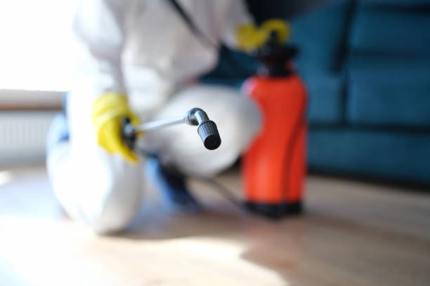 Environmental Consulting for Mold Prevention in Lake Fenton, MI
