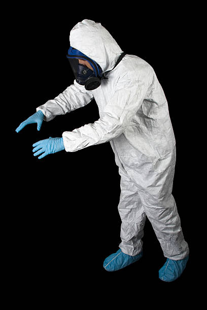 Best Mold Odor Removal Services  in Lake Fenton, MI
