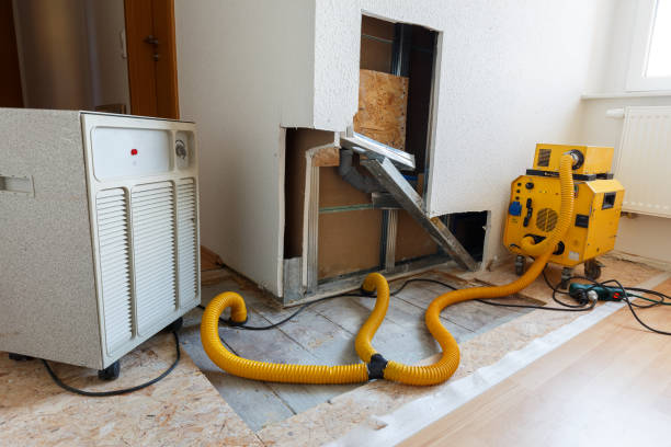 Best Post-Construction Mold Inspection  in Lake Fenton, MI